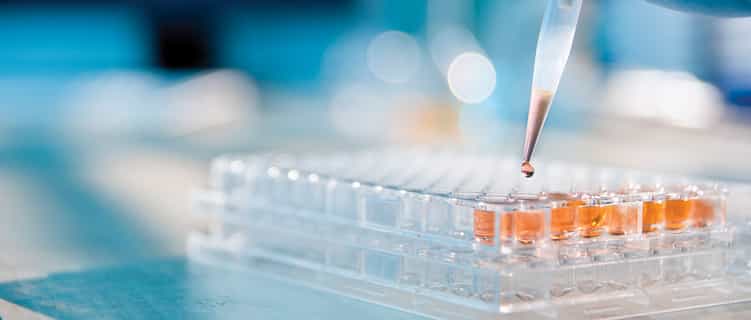 FDA publishes long-awaited clinical trial diversity guidance